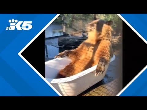 YouTube thumbnail for video vmPNOHx04tw