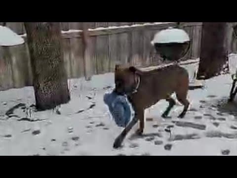 YouTube thumbnail for video vncFFshlYkw