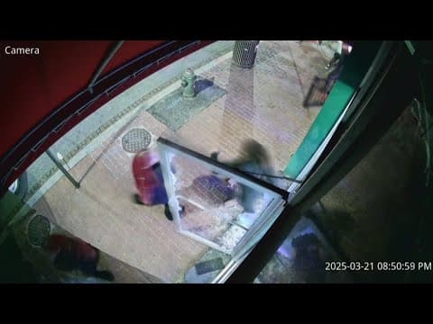 Police arrest customers accused of throwing bricks through windows over $8 chicken wings