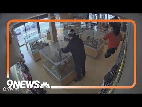 Investigators asking for public's help in locating suspects who stole 2 puppies