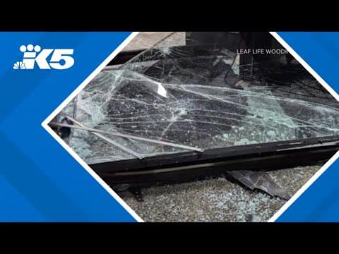 Woodinville shop a target of Kia thieves who smashed its storefront, deputies say