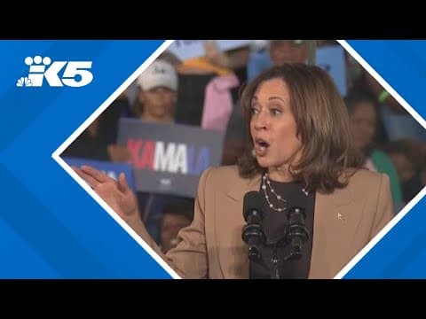 Trump calls for Kamala Harris, and celebrities who endorsed her, to be prosecuted