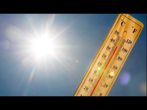Summer heat everywhere