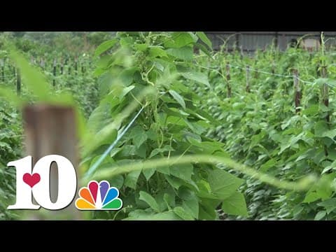 Farmers welcome rainy start to summer in East Tennessee after several dry days