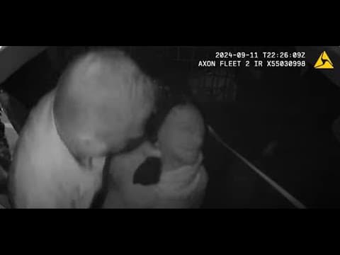 FFX Co. Police released video of former sergeant punching man handcuffed