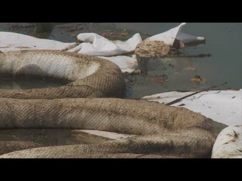 WATCH LIVE: Gov. Landry, EPA Update Smitty’s Supply Cleanup