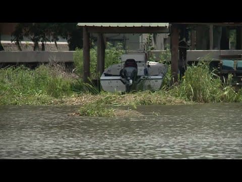 Hurricane Ida debris on Bayou Barataria continues to provide obstacles