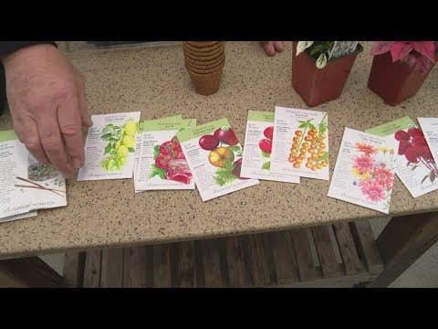 Pat Sullivan's for planting seeds indoors before bringing outside