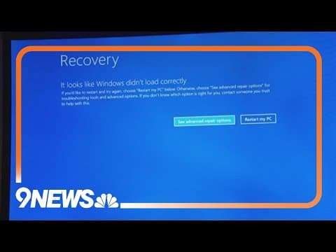 IT expert says computer outage was a systematic failure that could have been avoided