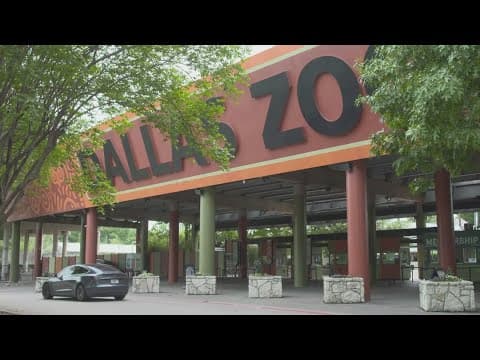 Dallas Zoo hosting "Dollar Days" on Thursday
