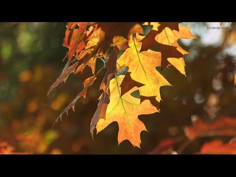 Are seasonal factors making us sleepier in fall? | Verify
