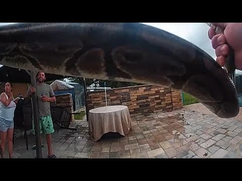 Florida deputy calmly rescues python from pool party as guests panic
