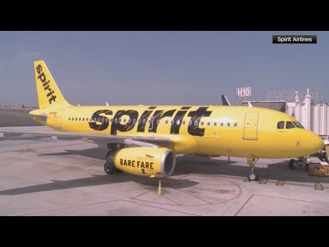 Spirit Airlines sounds the alarm on its future ability to stay in business