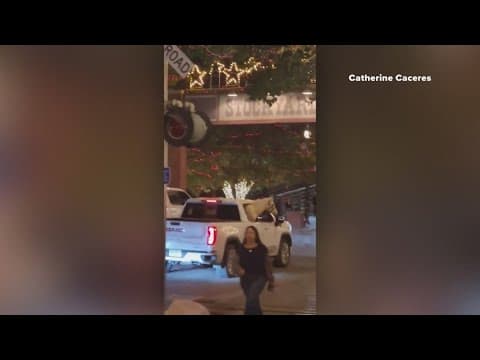 Horse in the backseat of a truck spotted in the Stockyards
