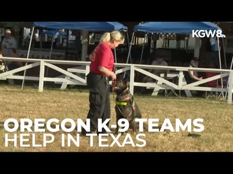 Oregon K9 teams head to Texas as search continues for 3 missing after deadly floods