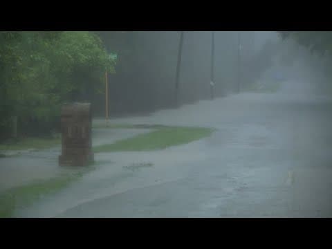 YouTube thumbnail for video wsb6XUrPJNQ