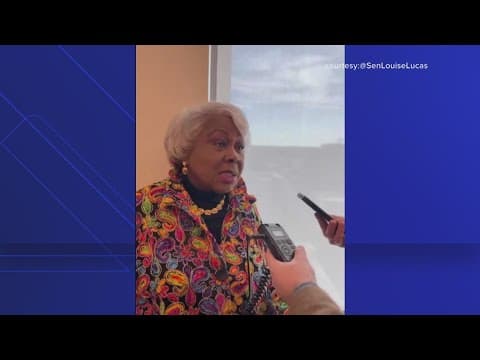 Alexandria residents protest plans for a new arena