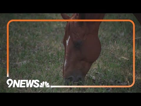 50 horses evacuated from ranch near Alexander Mountain Fire