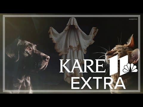 Can your dog or cat see ghosts?