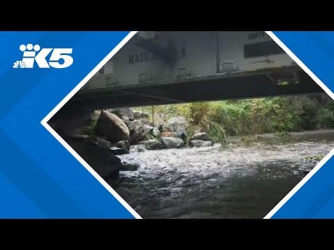 Decision over Bellingham bridge replacement could oust homeowners