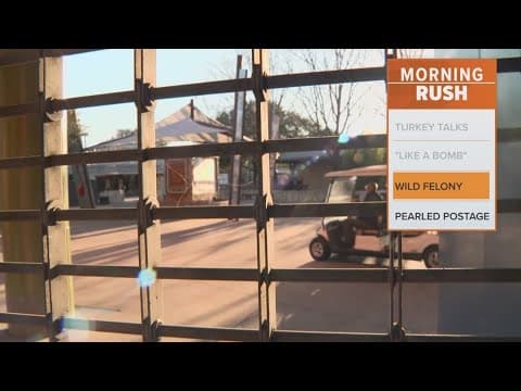 Lawmakers discuss increasing penalties for breaking into a zoo