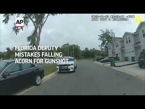 Florida deputy mistakes falling acorn for gunshot, fires into patrol car with handcuffed man inside