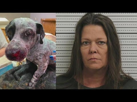 Waverly woman sentenced after being found guilty of dragging puppy with car