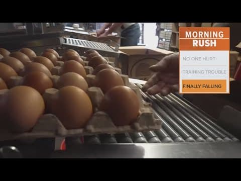 Average egg prices fall slightly