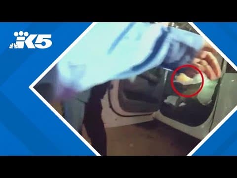 YouTube thumbnail for video x43Tgj33rAs
