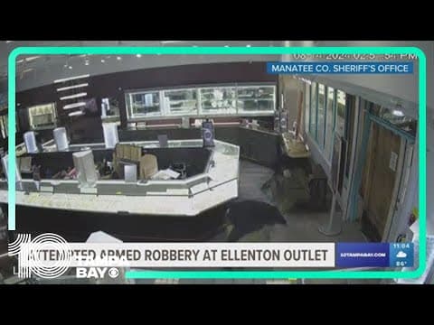 Deputies searching for attempted armed robbery suspects who fired shots at Ellenton outlet mall