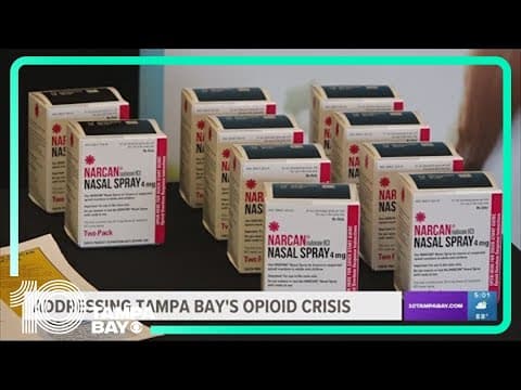 Hillsborough County hosts Opioid Summit amid deadly drug epidemic