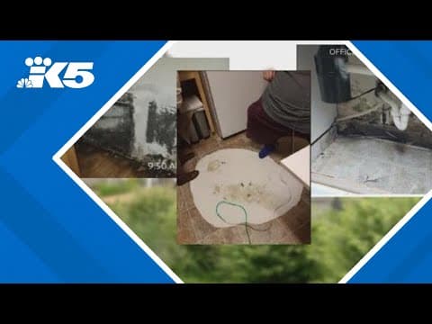 Washington sues ‘unfair and deceptive’ senior housing landlords, owners