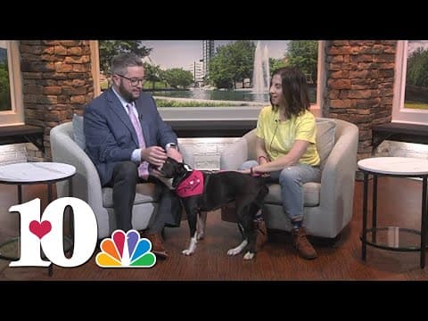 Meet the Pet of the Week: Leia