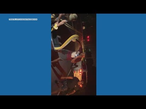 Giant python captured near high school in South Carolina