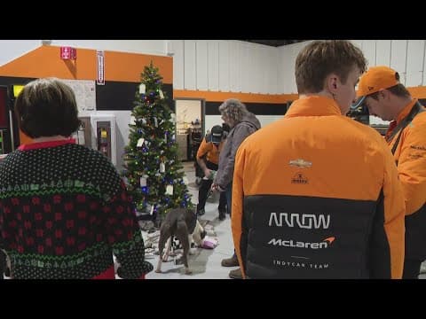 IndyCar gives shelter dogs a special day