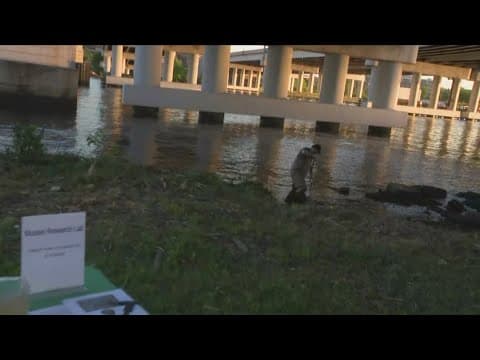 Anacostia River Festival returns to the District