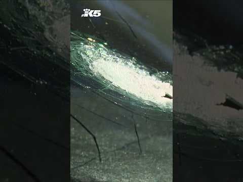 Driver recounts moments he realized car was shot on I-5