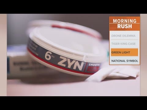 FDA authorizes Zyn for marketing