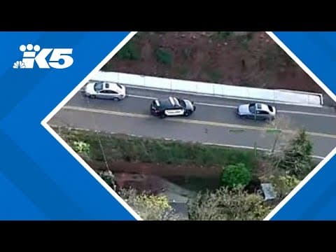 RAW: New video shows police chase of reckless driver in Kent