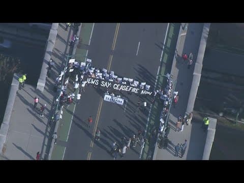 Protests and arrests across U.S. over Israel-Hamas war