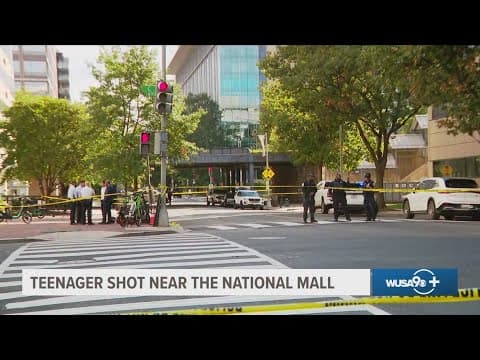 New details emerge from DC investigation in shooting near National Mall