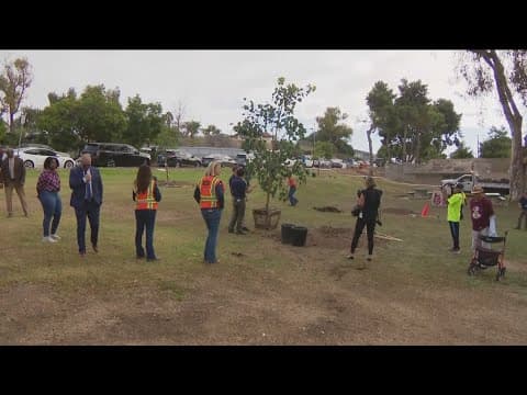 Mayor Gloria joins students for tree planting at Encanto Community Park