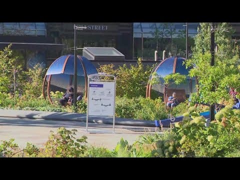 New art installations at Franklin Park