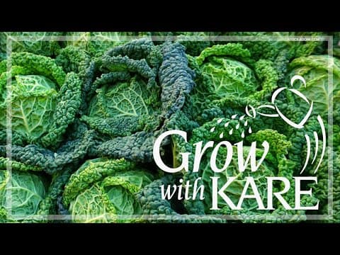 Grow with KARE: What to plant before the last frost