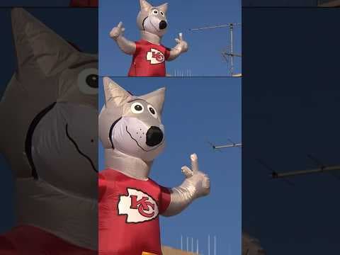 Kansas City Chiefs fans feel right at home in San Diego. Watch how they celebrated a Super Bowl win.