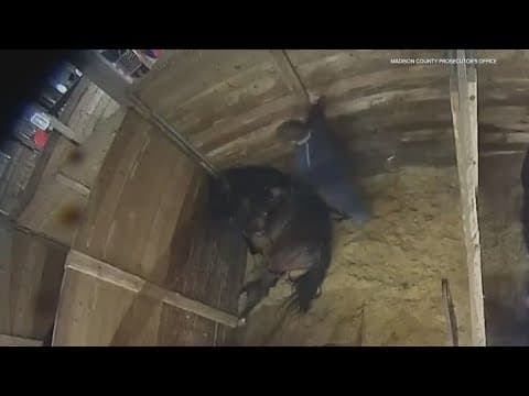 Horse owner charged with animal cruelty after video shows him striking horse at Anderson track