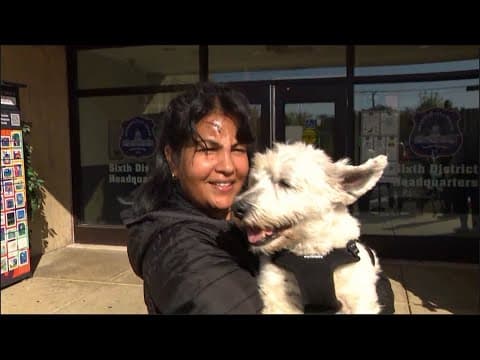Dog found! | Woman reunited with her dog after he was stolen in violent attack in DC