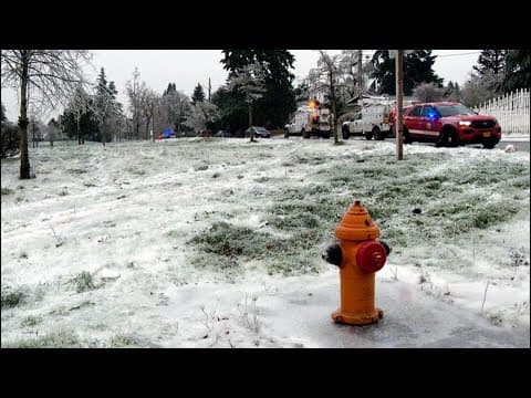 Power line falls on car during Oregon ice storm, killing 3 and injuring a baby