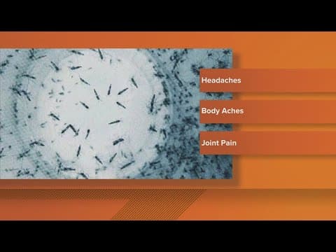 Mosquitoes around Indianapolis test positive for West Nile Virus