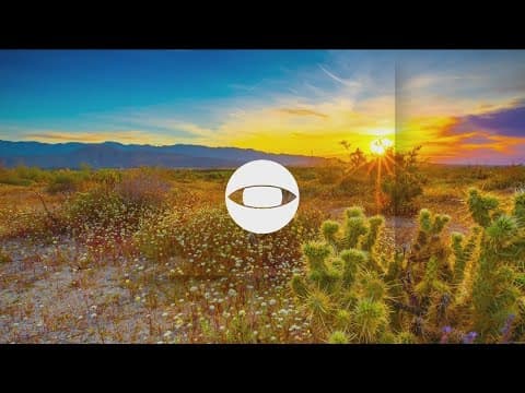 Top stories on CBS 8 for Monday, August 14 at 6AM